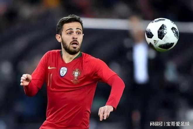 人民意志的 人民意志的